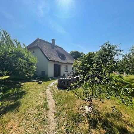 Oaza Pod Strzecha Klimatyczny Dom Z 3 Sypialniami Na Wylacznosc Z Kominkiem I Duzym Ogrodem Ustronie Morskie Exterior foto