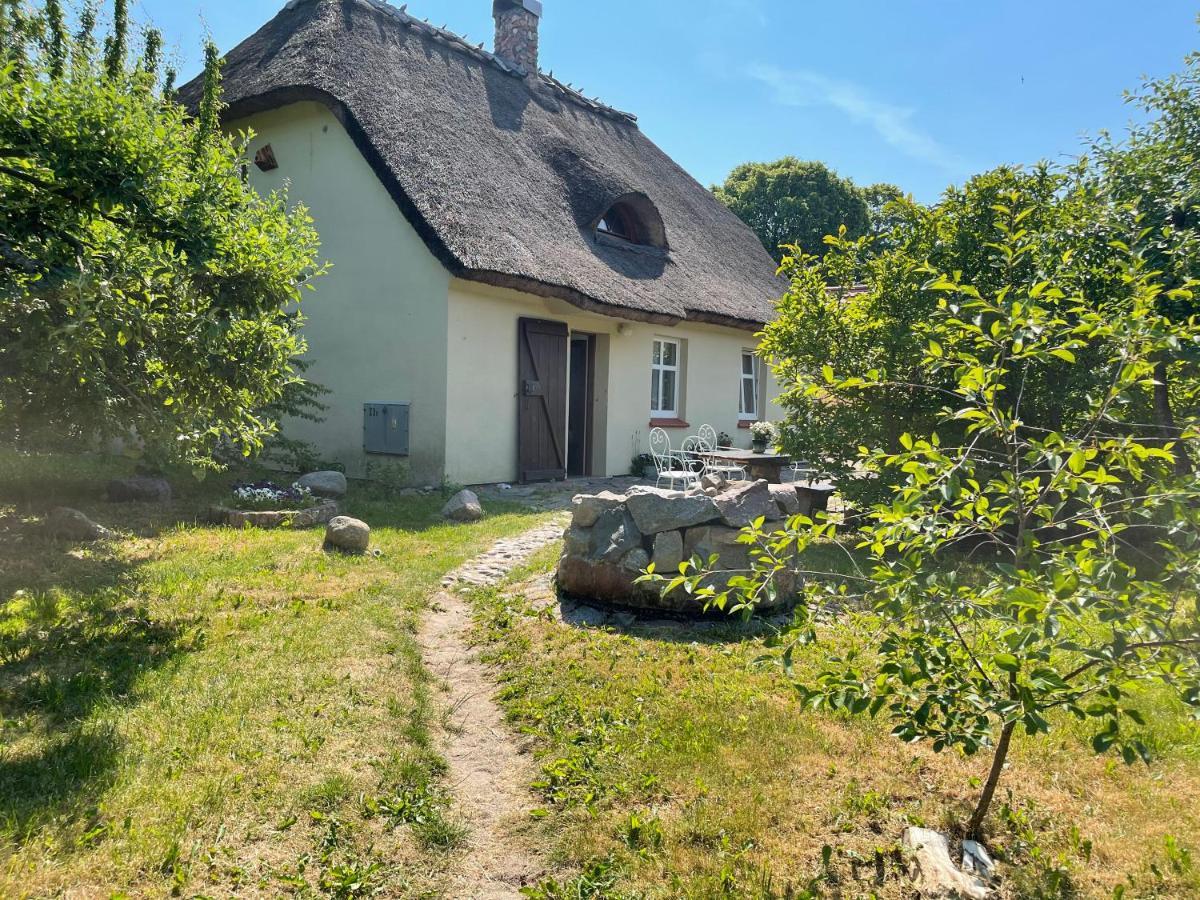 Oaza Pod Strzecha Klimatyczny Dom Z 3 Sypialniami Na Wylacznosc Z Kominkiem I Duzym Ogrodem Ustronie Morskie Exterior foto